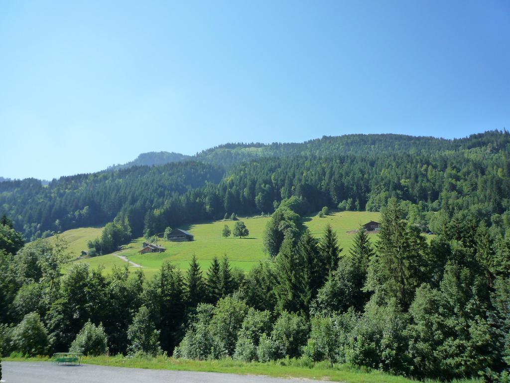 大博尔南Aravis Locations公寓 外观 照片